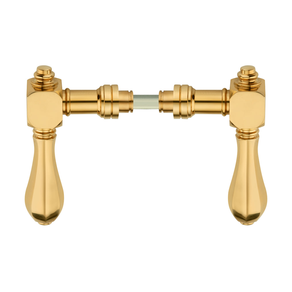 'Venus II' - Brass Door Handle Set