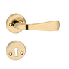 'Kepler II' - Brass Door Handle Set with Rosettes and Keyholes