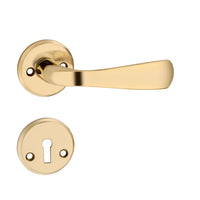 'Kepler II' - Brass Door Handle Set with Rosettes and Keyholes