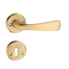 'Kepler II' - Brass Door Handle Set with Rosettes and Keyholes