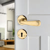 'Kepler II' - Brass Door Handle Set with Rosettes and Keyholes