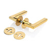 'Carter' - Brass Door Handle Set with Rosettes and Keyholes