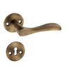 'Earth' - Brass Door Handle Set with Rosettes and Keyholes