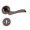 'Earth' - Brass Door Handle Set with Rosettes and Keyholes