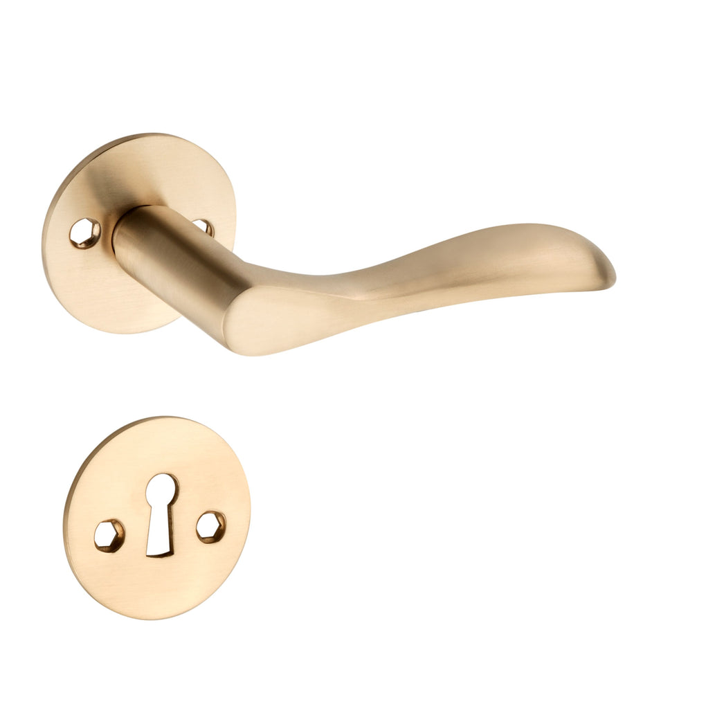 'Earth' - Brass Door Handle Set with Rosettes and Keyholes