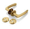 'Kepler I' - Brass Door Handle Set with Rosettes and Keyholes