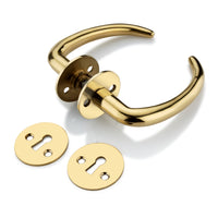 'Pluto' - Brass Door Handle Set with Rosettes and Keyholes