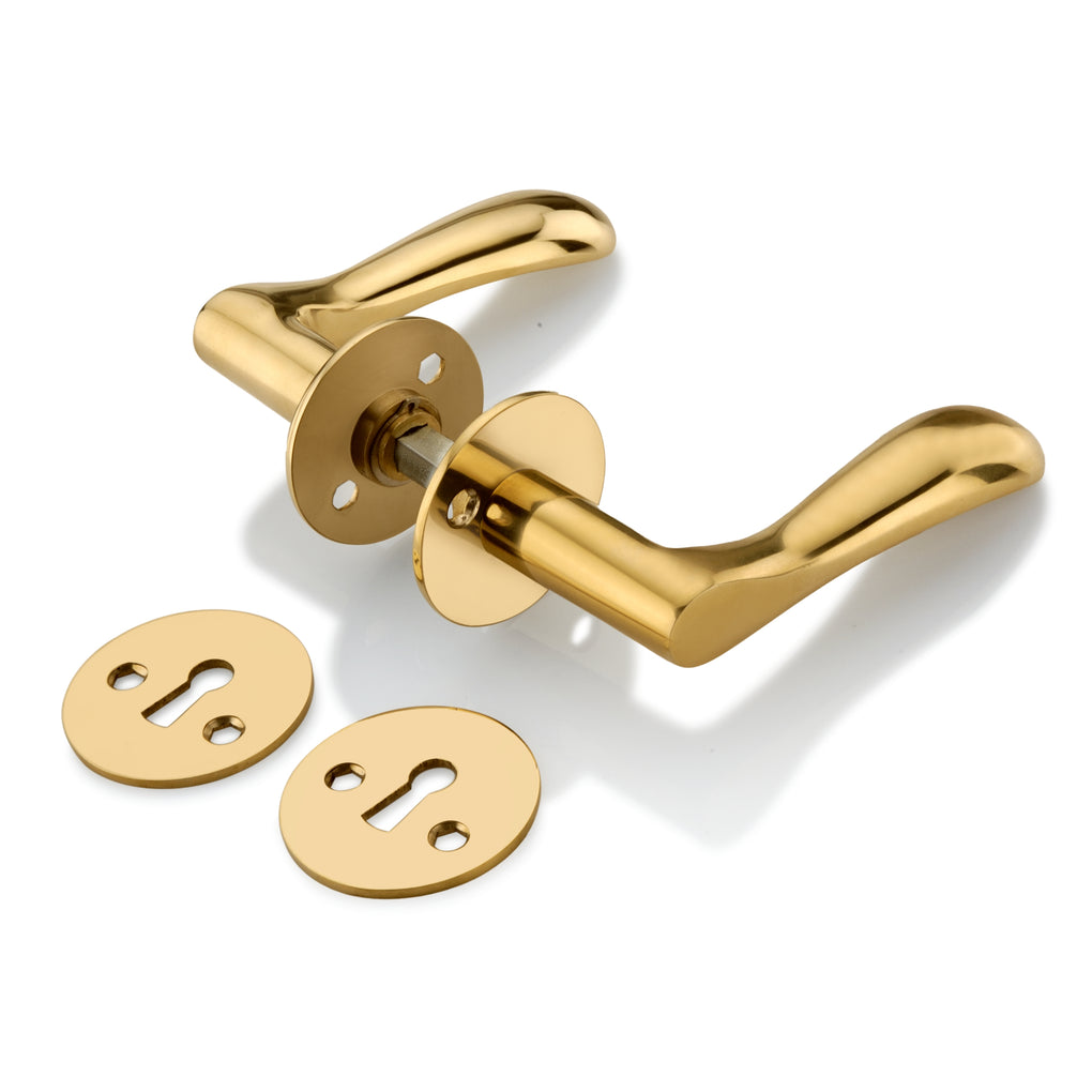 'Earth' - Brass Door Handle Set with Rosettes and Keyholes