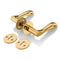 'Earth' - Brass Door Handle Set with Rosettes and Keyholes