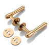 'Orion' - Brass Door Handle Set with Rosettes and Keyholes