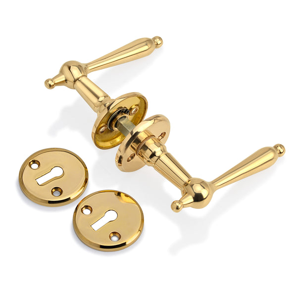 'Mercury' - Brass Door Handle Set with Rosettes and Keyholes