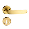 'Kepler I' - Brass Door Handle Set with Rosettes and Keyholes