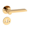 'Spitzer' - Brass Door Handle Set with Rosettes and Keyholes