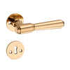 'Orion' - Brass Door Handle Set with Rosettes and Keyholes