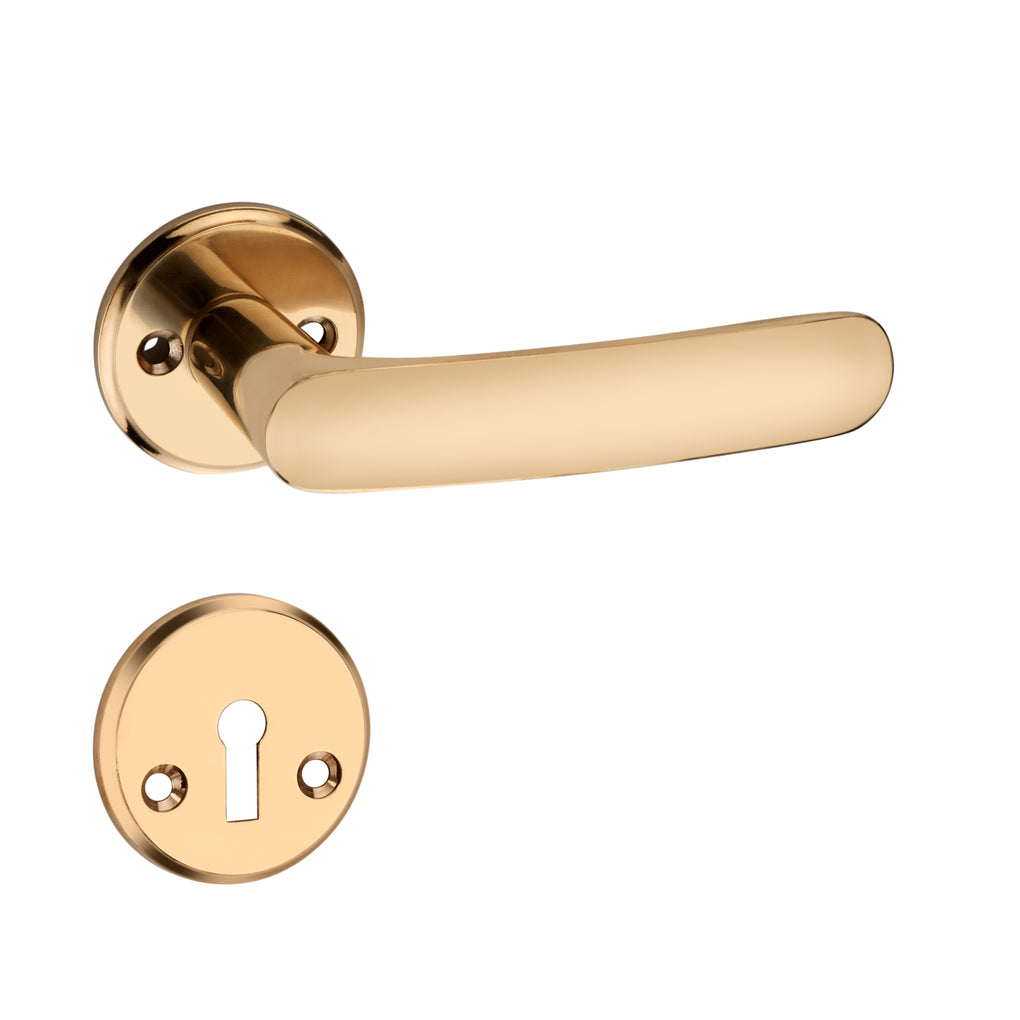 'Kepler I' - Brass Door Handle Set with Rosettes and Keyholes