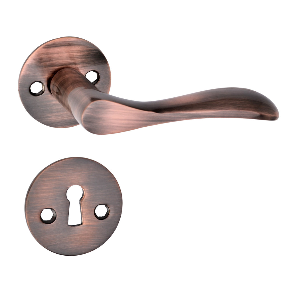 'Earth' - Brass Door Handle Set with Rosettes and Keyholes