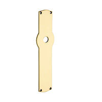 Brass Door Backplate