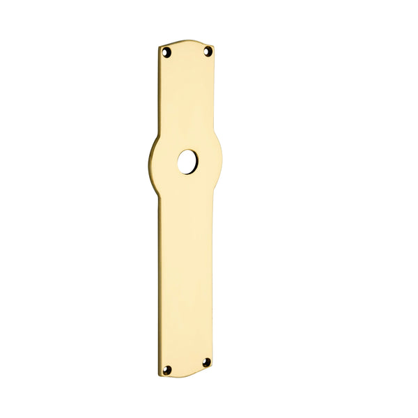 Brass Door Backplate