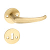 'Pluto' - Brass Door Handle Set with Rosettes and Keyholes