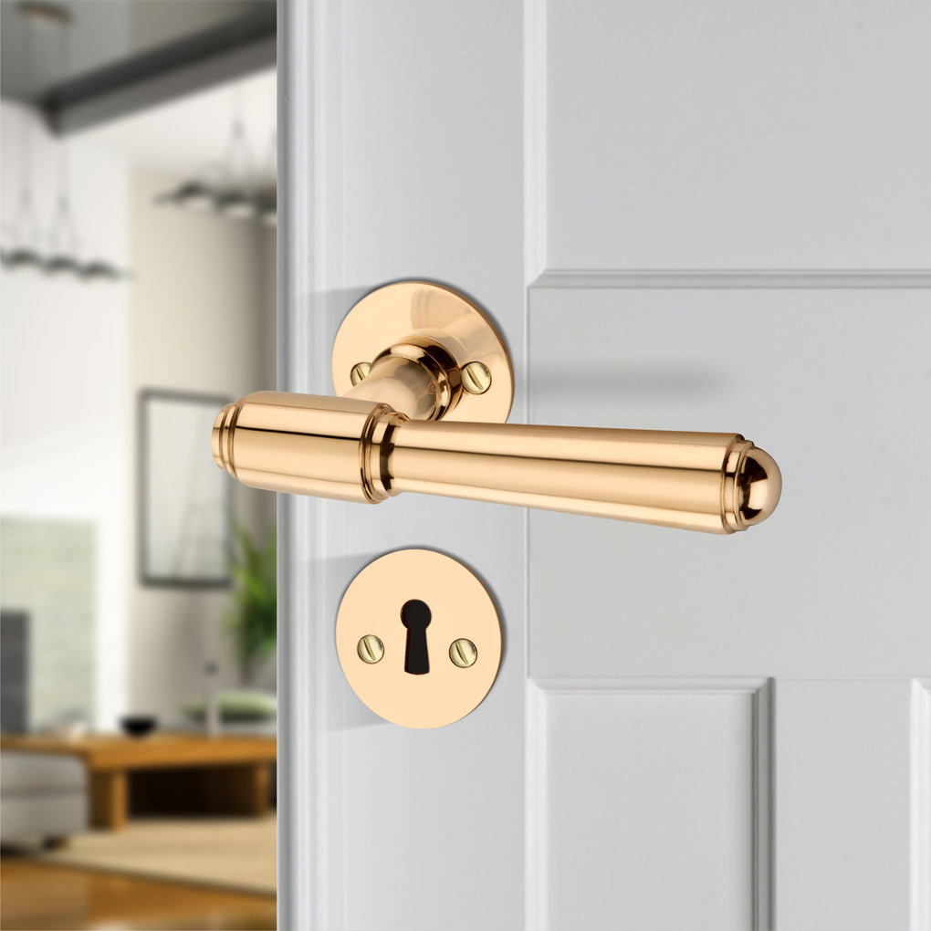 'Orion' - Brass Door Handle Set with Rosettes and Keyholes