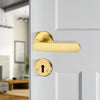 'Kepler I' - Brass Door Handle Set with Rosettes and Keyholes