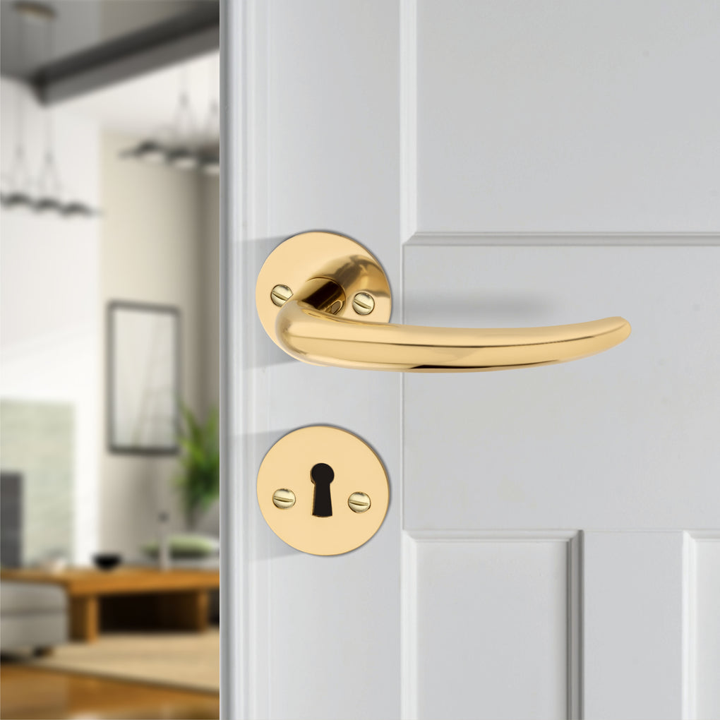 'Pluto' - Brass Door Handle Set with Rosettes and Keyholes