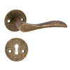 'Earth' - Brass Door Handle Set with Rosettes and Keyholes